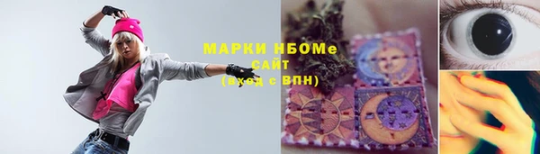 PSILOCYBIN Вяземский